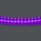 Лента цветного свечения 24V, фиолетовый Lightstar 420518