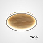 Потолочный светильник DOLAN D40 4000К ImperiumLoft 223951-23 dolan01