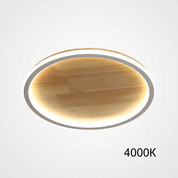 Потолочный светильник DOLAN D40 4000К ImperiumLoft 223951-23 dolan01