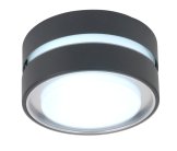 Потолочный светильник уличный Oasis Light 3351S Gr