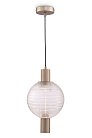 Подвесной светильник Maytoni P060PL-01N Rueca