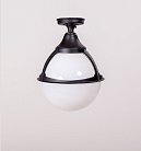 Потолочный светильник уличный Oasis Light 88105A Bl GENOVA