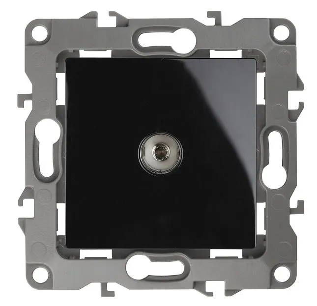 Розетка ЭРА 12-3101-06