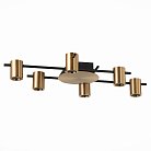 Потолочная люстра ST Luce SL1207.402.06 VEROLI