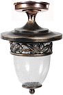 Потолочный светильник уличный Oasis Light 87205LA Gb KRAKOV 1 L