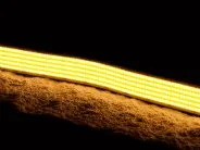 Светодиодная лента SWG-COB1600-24-40-WW