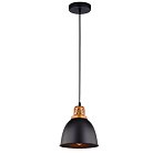 Подвесной светильник Arte Lamp A4245SP-1BK EURICA