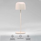 настольный светильник Elektrostandard TL70260 Bitty a069003