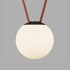 Светильник для трека-ремня Denkirs DK5553-BK Belty, серия Orb