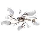Потолочная люстра MW-LIGHT 242016205 Восторг