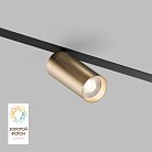 Трековый светильник Denkirs DK8020-BG SMART SPOT