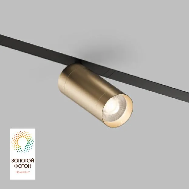 Трековый светильник Denkirs DK8020-BG SMART SPOT