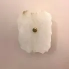 Настенный светильник Cloyd 20268 Knoss