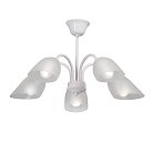 Люстра на штанге Vitaluce V3336-0/5PL