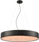 Подвесной светильник Wertmark WE510.02.723 EDERA