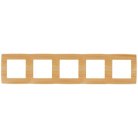 Рамка ЭРА 12-5005-11