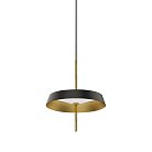Подвесной светильник Delight Collection MD18001061-1A  black/gold