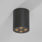 Потолочный акцентный светильник Elektrostandard 25111/LED Points a067484