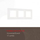 Рамка из поликарбоната на 3 поста Arte Milano 517.17-3.white am