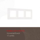 Рамка из поликарбоната на 3 поста Arte Milano 517.17-3.white am