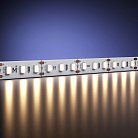 Светодиодная лента Led Strip Maytoni 201031