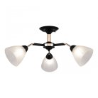 Люстра потолочная с плафонами Arte Milano 324108/3 BK+FG Napoli