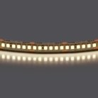 Лента белого свечения 24V Lightstar 421024