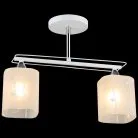 Потолочная люстра Reluce 01698-0.3-02