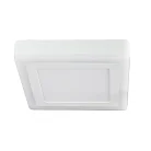 Потолочный светильник Arte Lamp A7716PL-2WH ALTAIR 