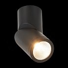 Потолочный светильник ST Luce ST650.442.10