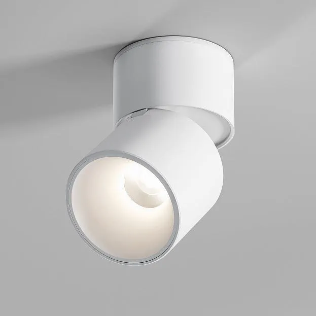 потолочный акцентный светильник Elektrostandard 25112/LED Rolly a067487