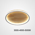 Потолочный светильник DOLAN D30 Трехцветный свет ImperiumLoft 223950-23 dolan01