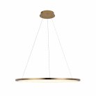 Подвесной светильник Loft IT 10014L Ring