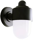 Настенный светильник уличный Escada 30008W/01 30008