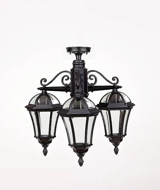 Потолочный светильник уличный Oasis Light 95270SA/3 Bl ROMA S