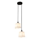 Подвесной светильник 160003/2P E27*60W Black Escada ES0000026