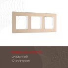 Рамка из алюминия на 3 поста Arte Milano 503.12-3.shampan am