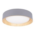Потолочный светодиодный светильник Loft IT 10202 Grey Coin