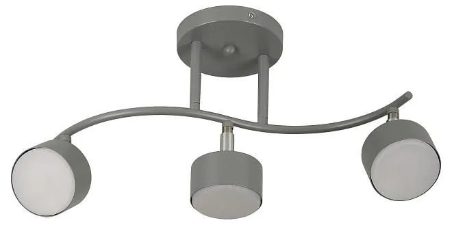 Светильник настенно-потолочный спот Rivoli 7077-703 Vivien