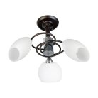 Потолочная люстра Toplight TL2660X-03WC Marianna