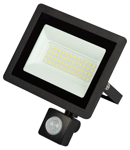 Прожектор уличный ЭРА LPR-042-2-65K-050