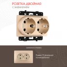 Розетка двойная с заземлением и шторками, 16A 250V Arte Milano 217.40-2.shampan