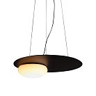 Подвесной светильник Delight Collection P0352-480A Black