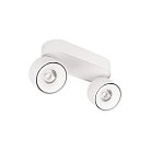 Накладной светильник Loft IT 10323/2A White Focus