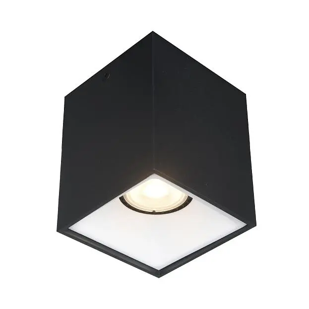 Светильник потолочный ST-Luce ST168.452.01 Светильник потолочный ST-Luce ST168.452.01