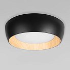 Потолочный светильник LOFT IT 10255/500 Black Folk