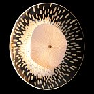 Бра Crystal Lux CONTESSA AP2.1