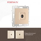 Розетка TV Arte Milano 206.43-1.shampan am