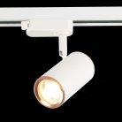 Трековый светильник ST Luce ST301.526.01