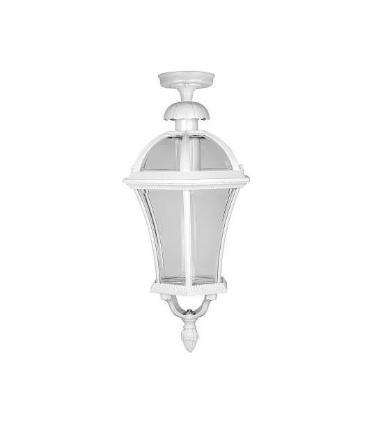 Потолочный светильник уличный Oasis Light 95205LA W ROMA L